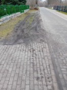 Foto: Zerstörung Grünfläche 